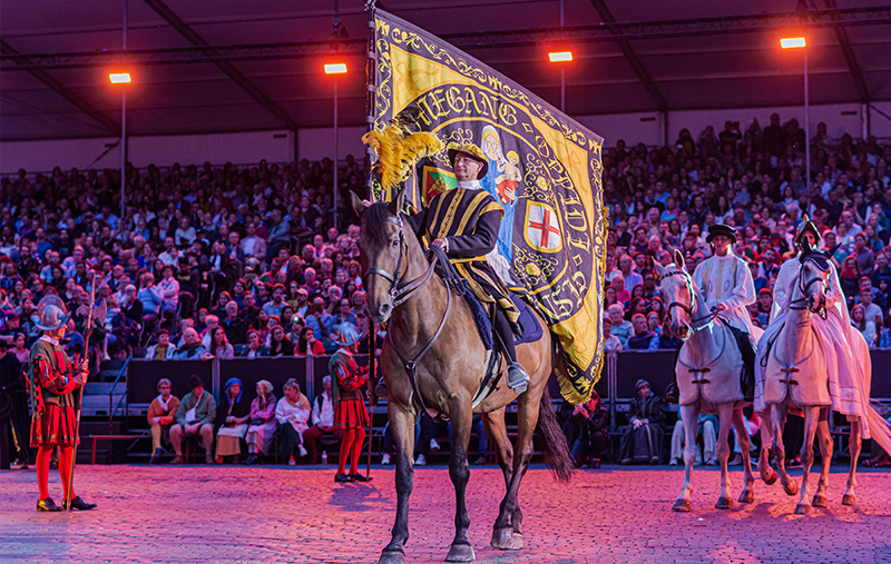 Photo Ommegang 2026 : vivez le spectacle depuis le quartier Louise