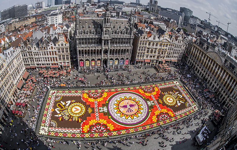 Photo Tapis de Fleurs 2026 : un week-end fleuri au coeur de Bruxelles