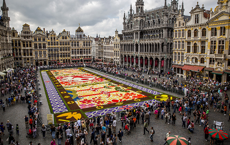 Photo Tapis de Fleurs 2026 : un week-end fleuri au coeur de Bruxelles
